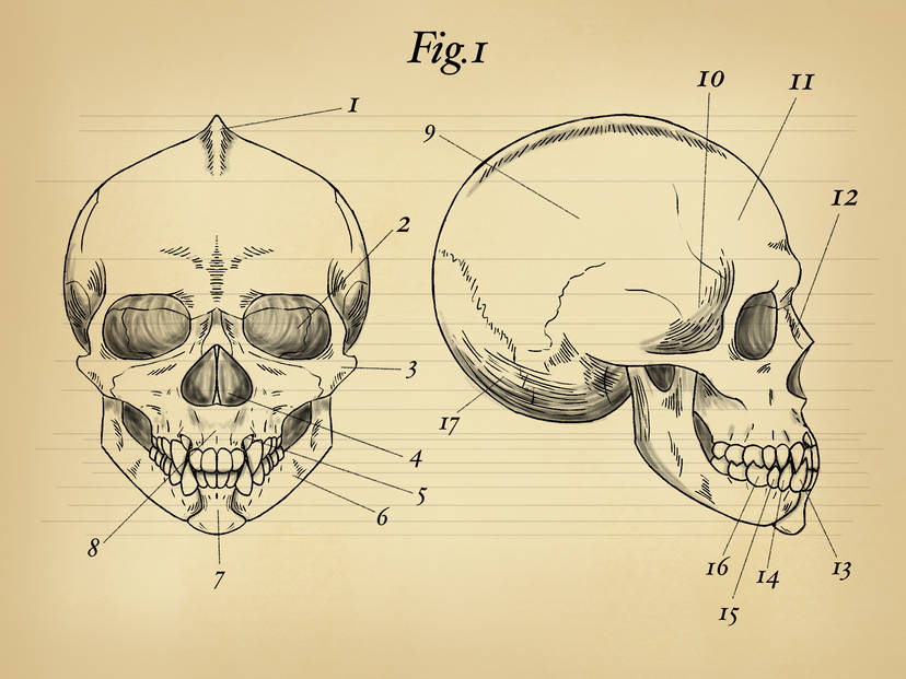Scientific Illustrations & Lab Notebooks VELA Sciences Vela Sciences